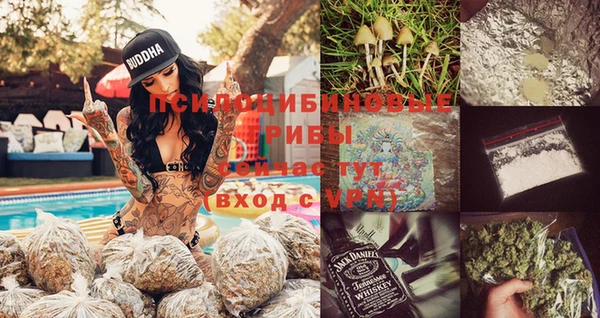 Альфа ПВП Армянск