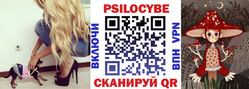 Псилоцибиновые грибы прущие грибы  Удомля 