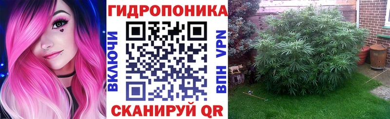 Бошки Шишки семена  Удомля 